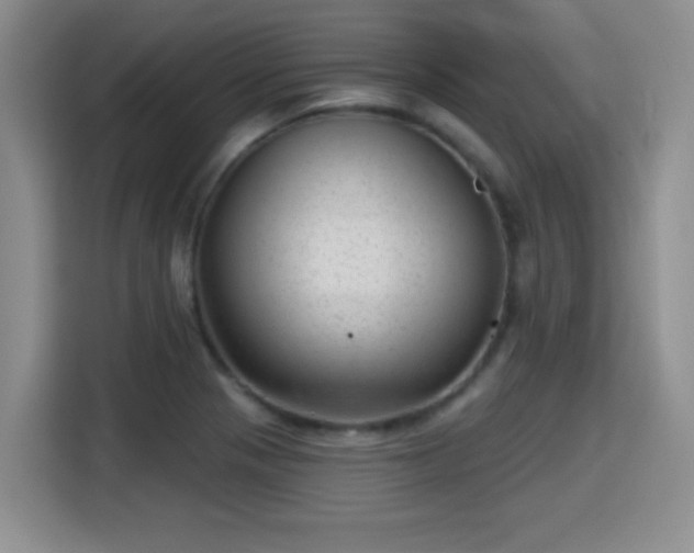 X0000115381321200911101258