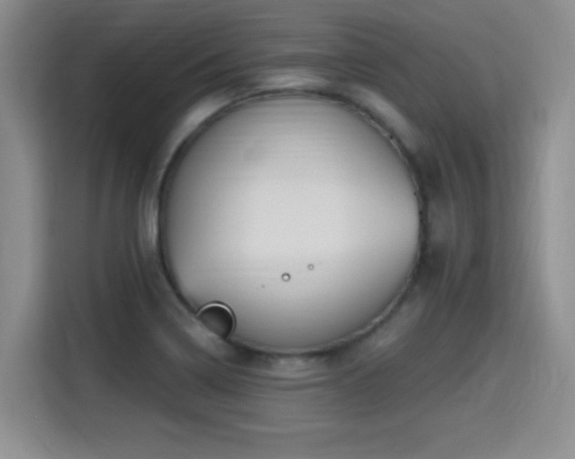 X0000115381322200911101258