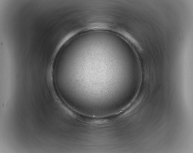 X0000115381325200911101258
