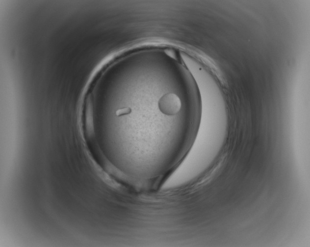 X0000115381326200911101258