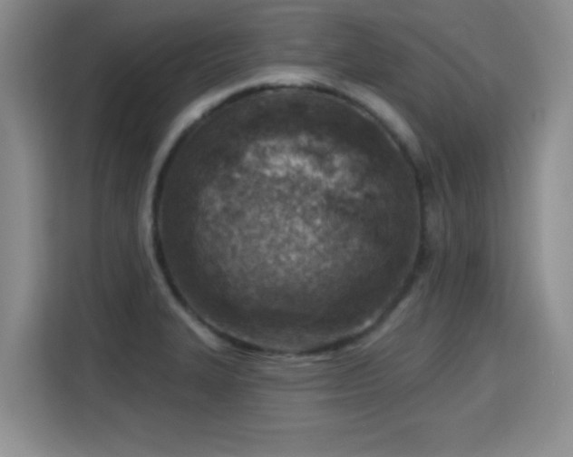X0000115381327200911101258