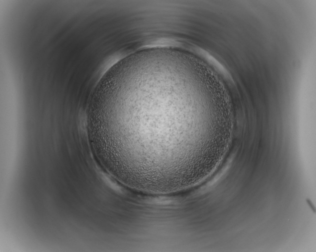 X0000115381329200911101258