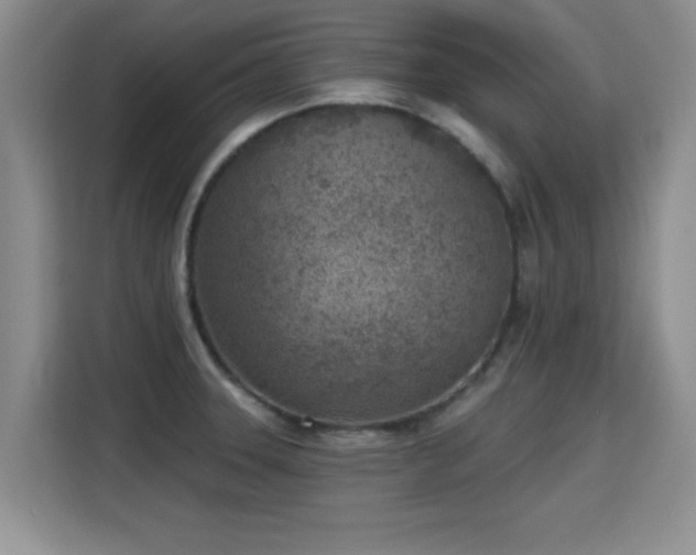 X0000115381331200911101258