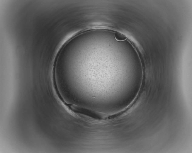 X0000115381333200911101258