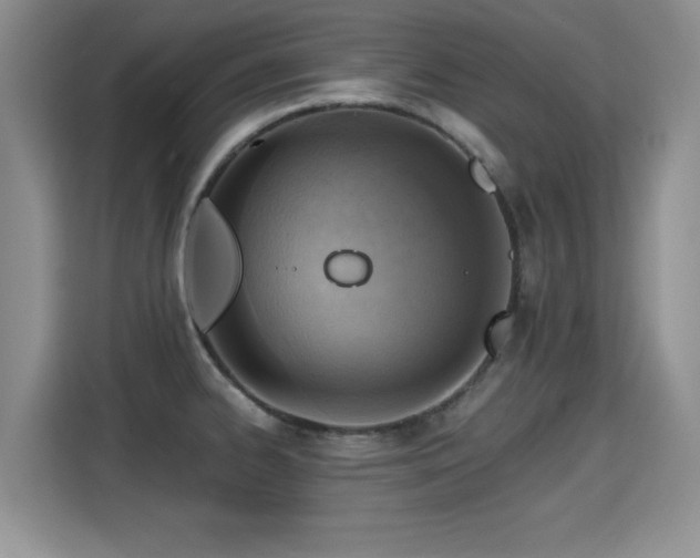 X0000115381334200911101258