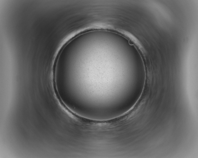 X0000115381335200911101258