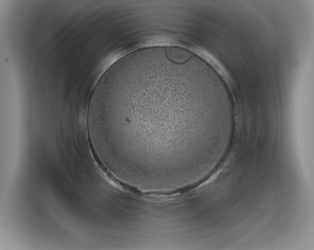 X0000115381337200911101258