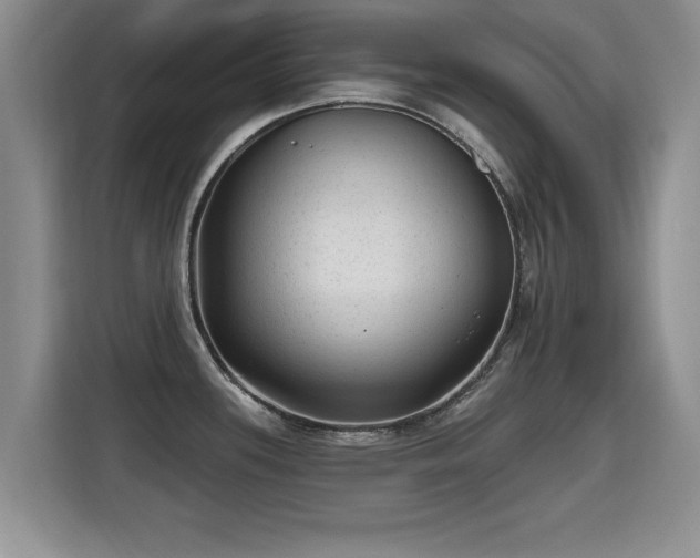 X0000115381339200911101258