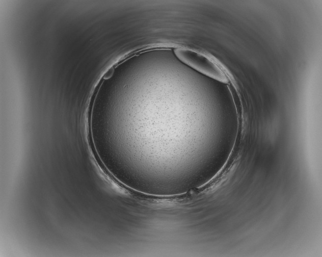 X0000115381341200911101258