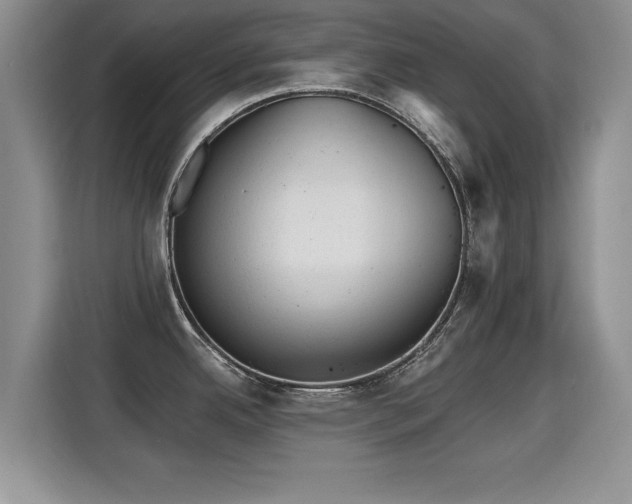 X0000115381342200911101258