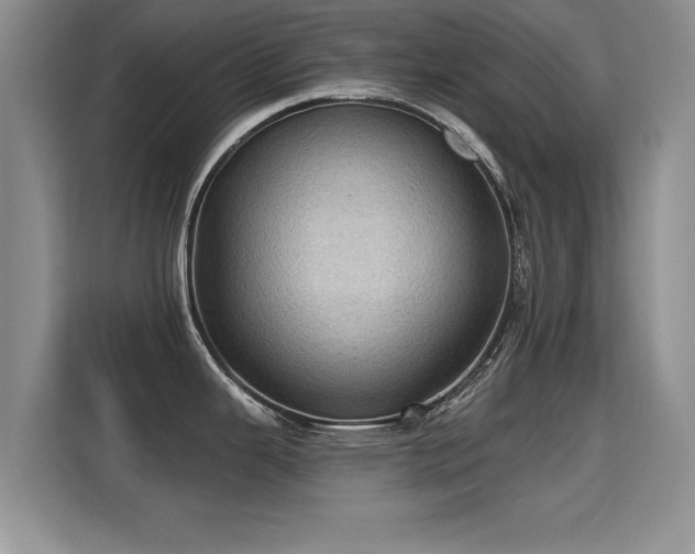 X0000115381343200911101259