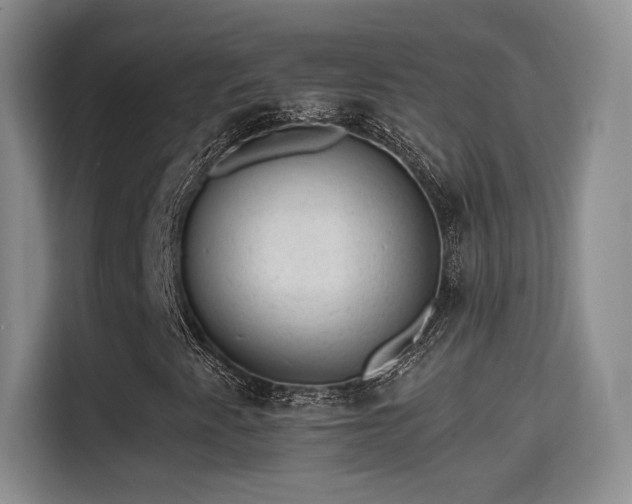 X0000115381345200911101258