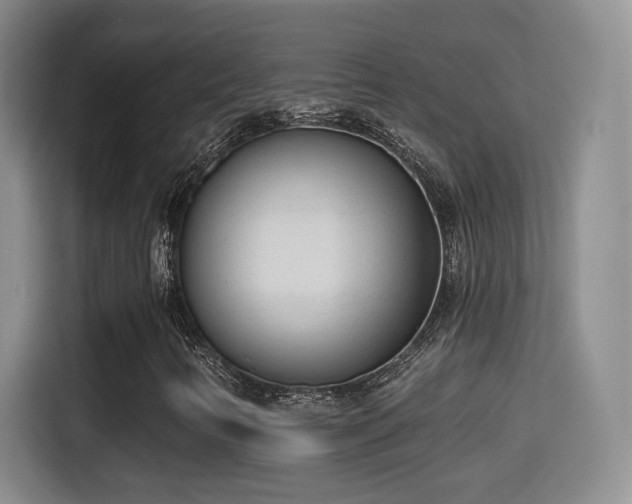 X0000115381346200911101258