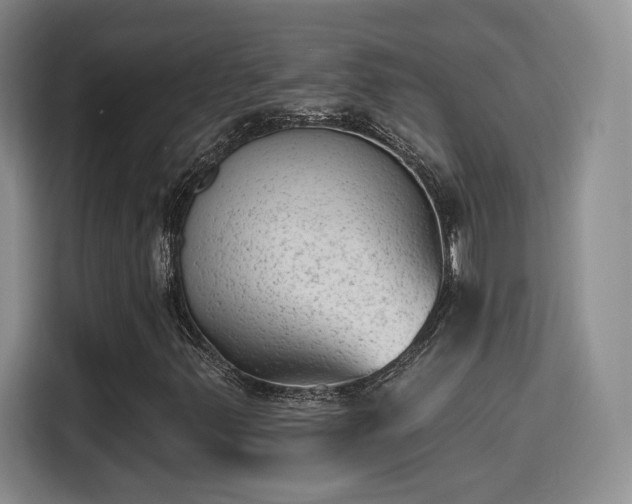 X0000115381347200911101258