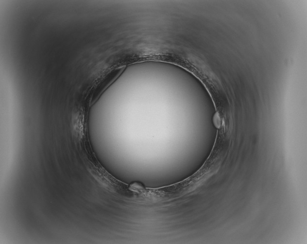 X0000115381348200911101258