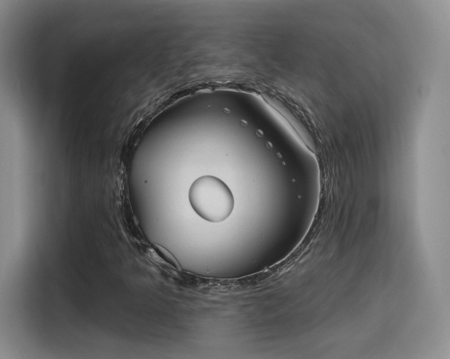 X0000115381349200911101258