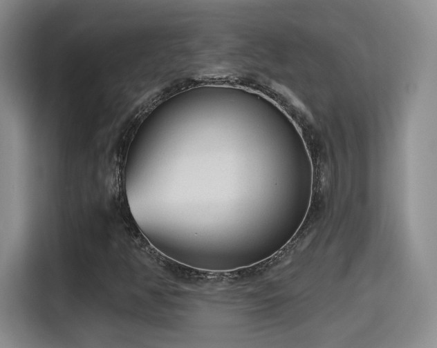 X0000115381350200911101258
