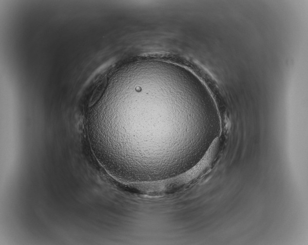X0000115381351200911101258