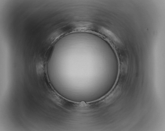 X0000115381353200911101258