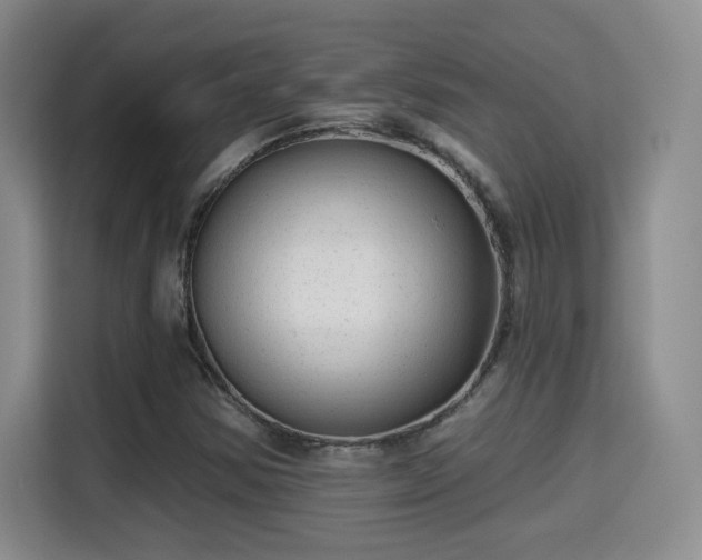 X0000115381354200911101258
