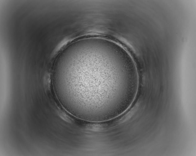 X0000115381355200911101258