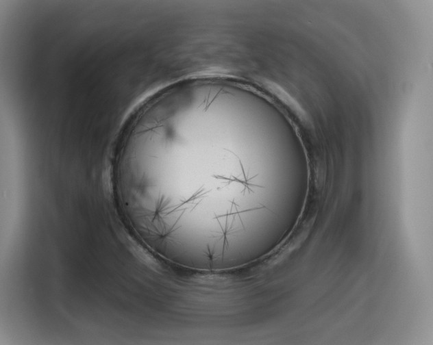 X0000115381356200911101258