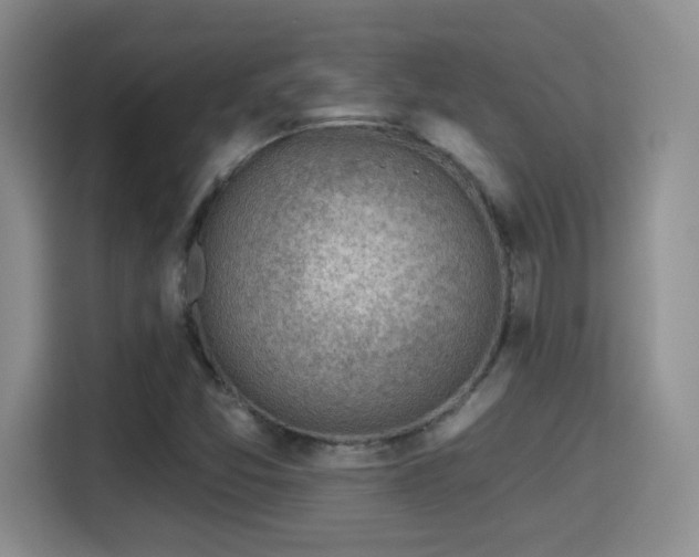 X0000115381357200911101258
