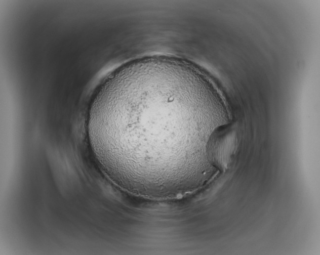 X0000115381359200911101258