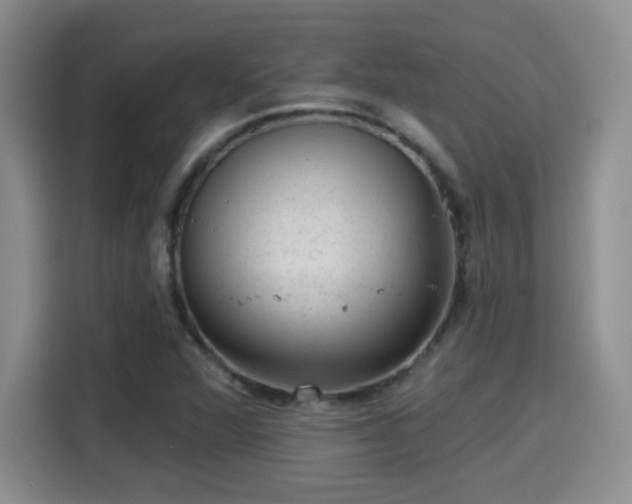 X0000115381360200911101258