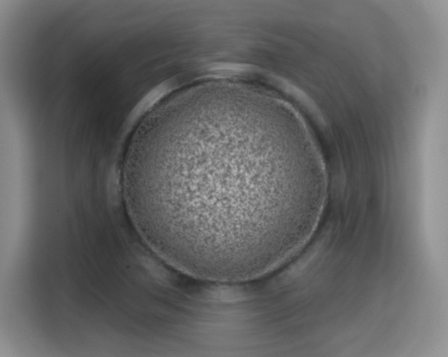 X0000115381362200911101258