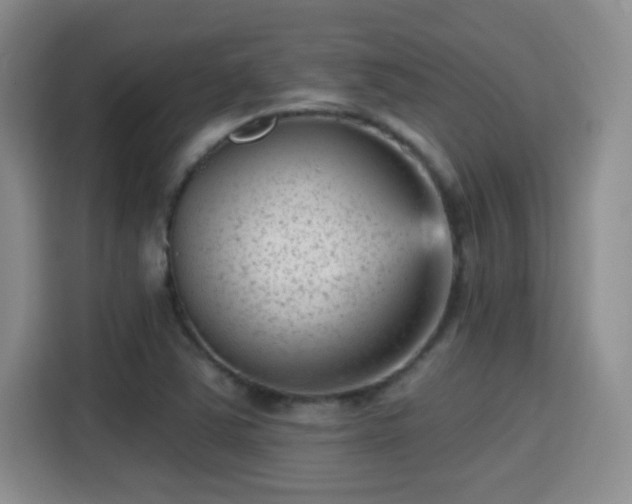 X0000115381363200911101258
