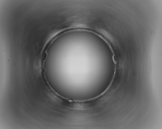 X0000115381364200911101258