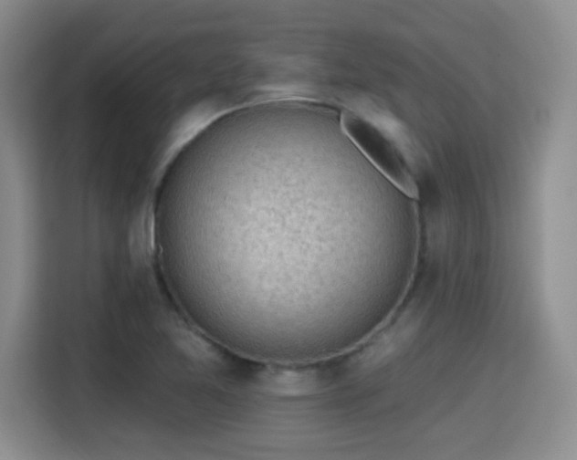 X0000115381365200911101258