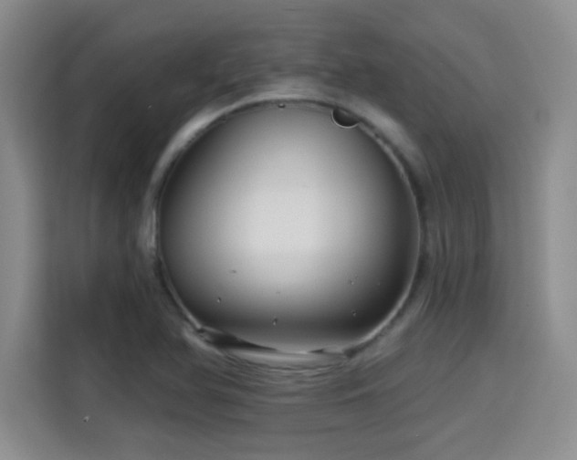 X0000115381366200911101258