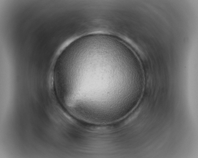 X0000115381367200911101258