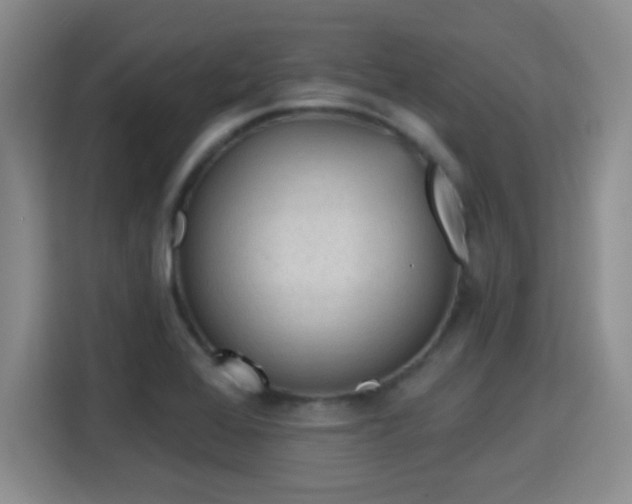X0000115381368200911101258
