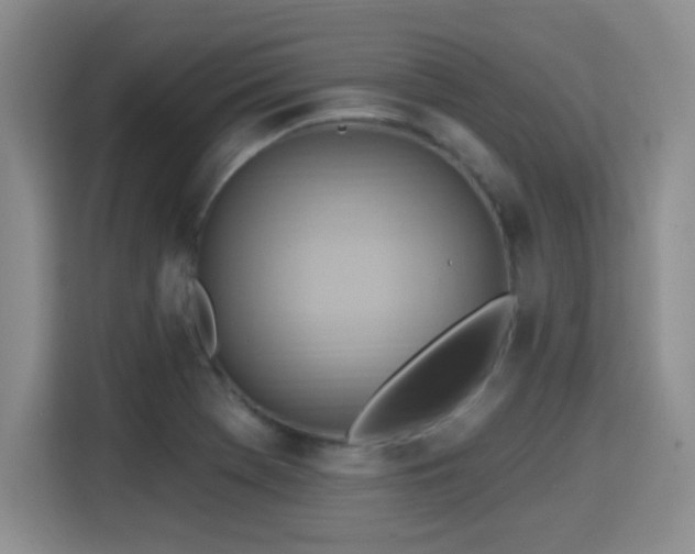 X0000115381369200911101258