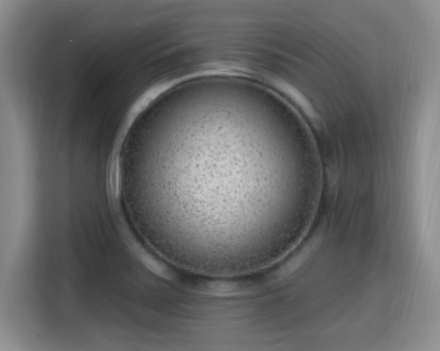 X0000115381371200911101258