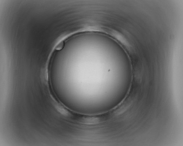 X0000115381372200911101258