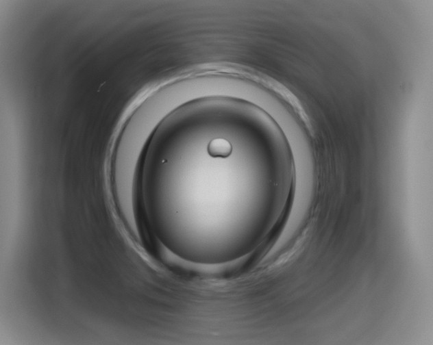 X0000115381373200911101258
