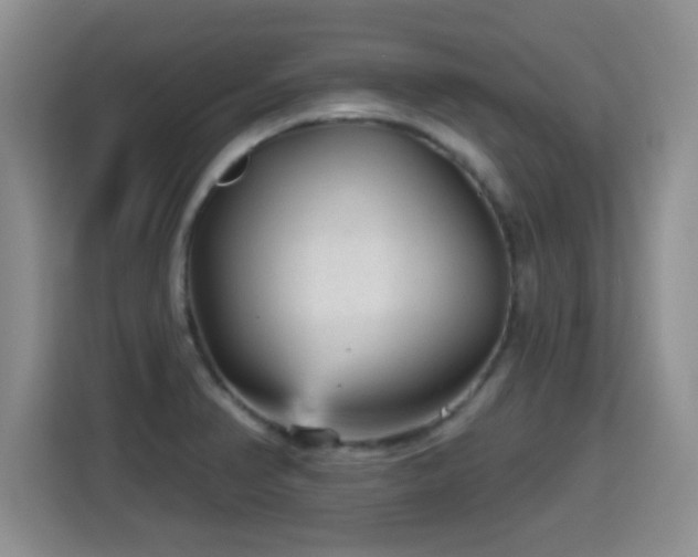 X0000115381374200911101258