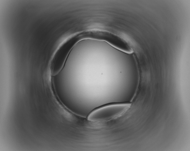 X0000115381376200911101257