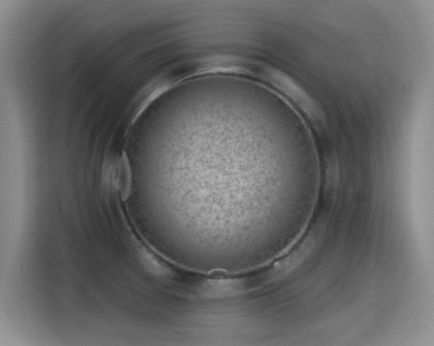 X0000115381377200911101257