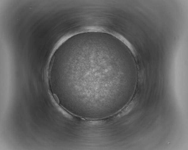 X0000115381381200911101257