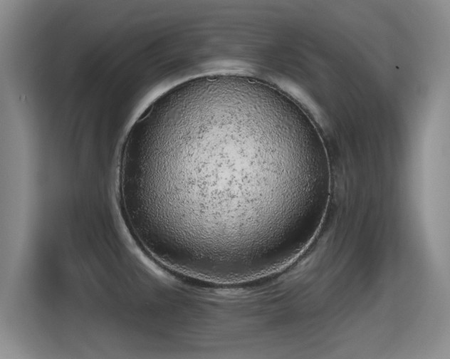 X0000115381383200911101257