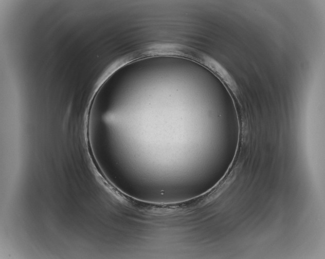 X0000115381386200911101257