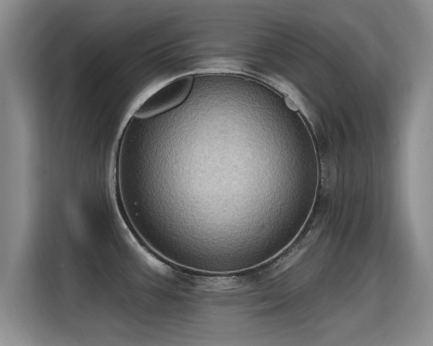 X0000115381387200911101257
