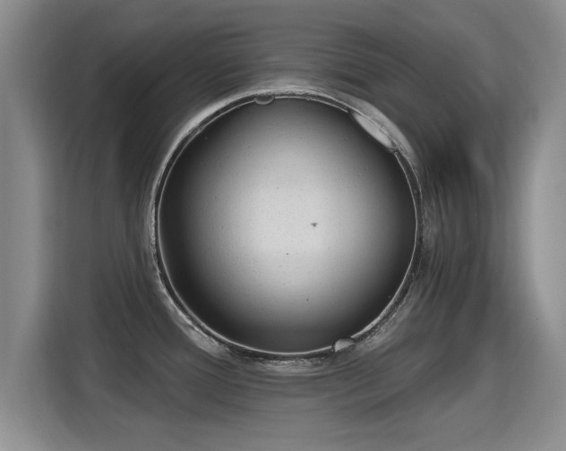 X0000115381388200911101257
