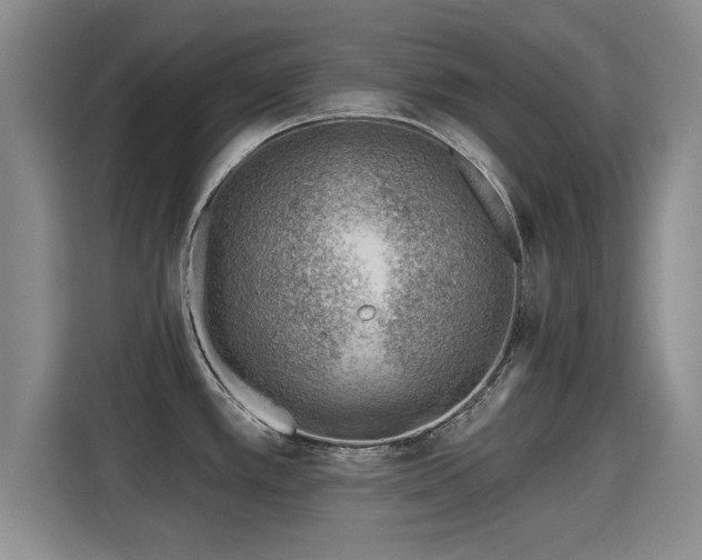 X0000115381389200911101257
