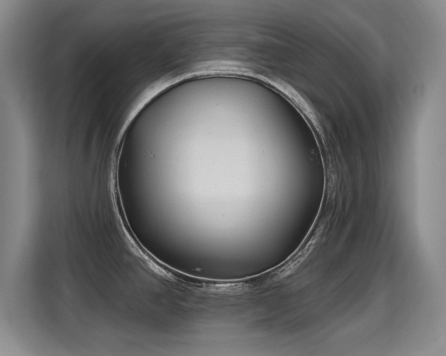 X0000115381390200911101257